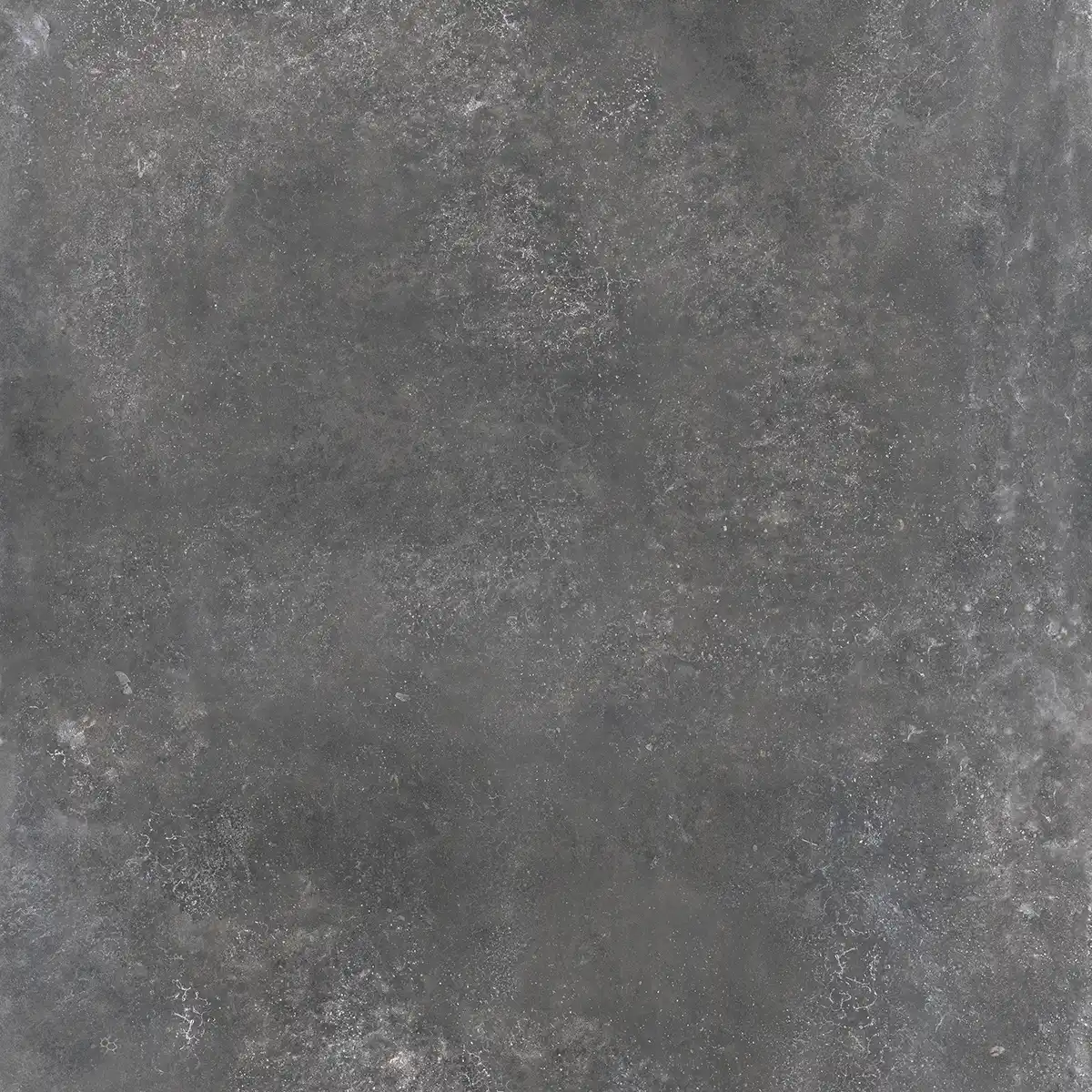 Blue Evolution Anthracite 80x80 cm